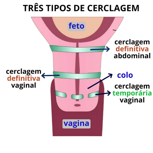 Dr Douglas Ribeiro